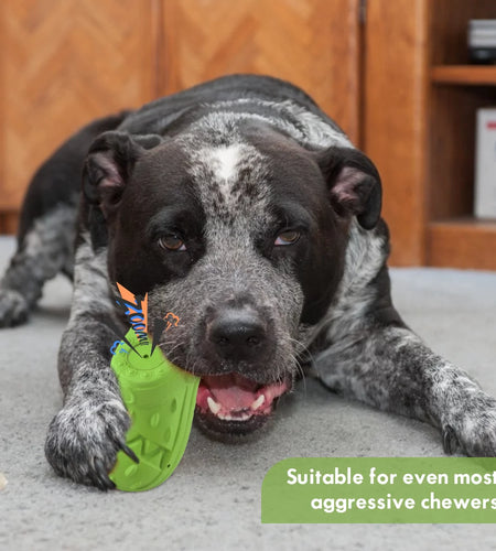 Squeaky Dog Toys Dog Chew Toy for Aggressive Chewer, Teeth Cleaning Shoe Shape Squeaky Dog Toys