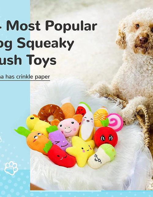 Load image into Gallery viewer, 14 Pack Dog Squeaky Toys Cute Stuffed Plush Fruits Snacks and Vegetables Dog Toys for Puppy Small Medium Dog Pets
