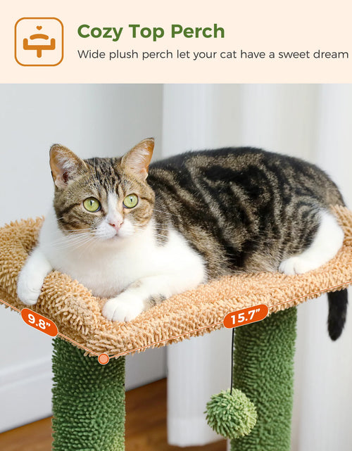 Load image into Gallery viewer, Cat Tree 33" Cute Cactus Cat Scratching Posts Tower with Large Top Perch and Hammock for Medium Indoor Cats, Green

