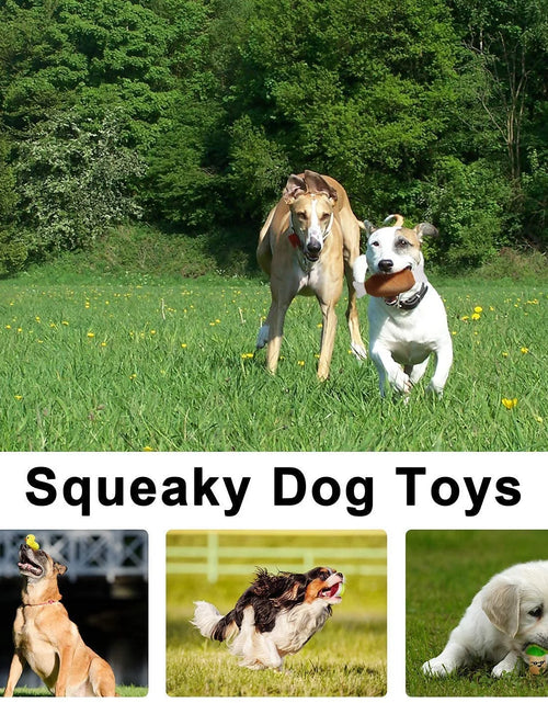 Load image into Gallery viewer, 14 Pack Dog Squeaky Toys Cute Stuffed Plush Fruits Snacks and Vegetables Dog Toys for Puppy Small Medium Dog Pets
