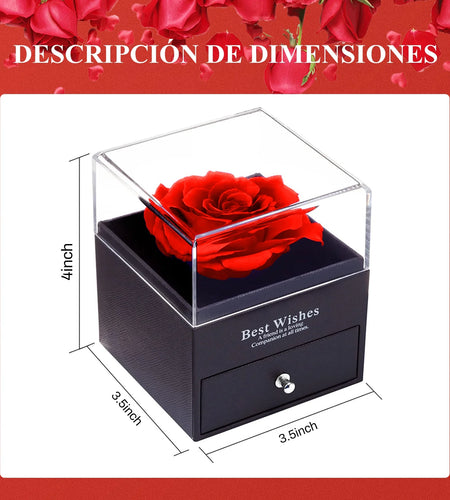 Preserved Red Real Rose with I Love You Necklace in 100 Languages -Eternal Flowers Rose Gifts for Mom Wife Girlfriend Her on Christmas Valentines Day Mothers Day Anniversary Birthday Gifts for Women