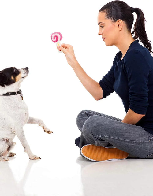 Load image into Gallery viewer, 14 Pack Dog Squeaky Toys Cute Stuffed Plush Fruits Snacks and Vegetables Dog Toys for Puppy Small Medium Dog Pets
