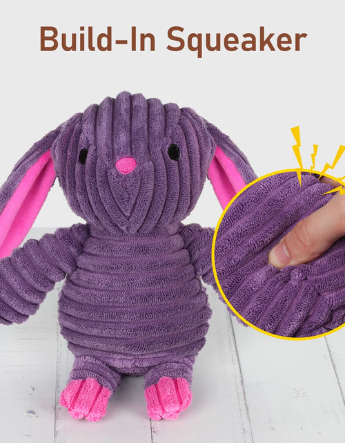 Load image into Gallery viewer, Dog Toys, 5 Pack, Squeaky Plush Dog Chew Toys Gift for Small Medium Large Dogs, Puppy
