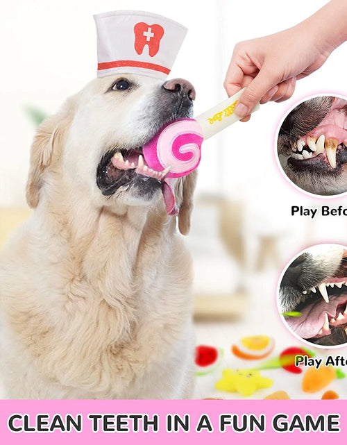 Load image into Gallery viewer, 14 Pack Dog Squeaky Toys Cute Stuffed Plush Fruits Snacks and Vegetables Dog Toys for Puppy Small Medium Dog Pets
