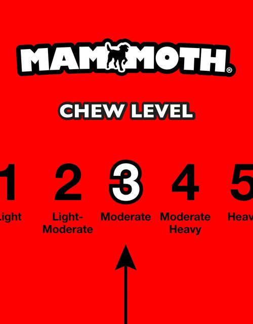 Load image into Gallery viewer, Flossy Chews 18" Extra Double-Tug Cotton-Blend Chew Dog Toy with Loop Handle, Asst Colors
