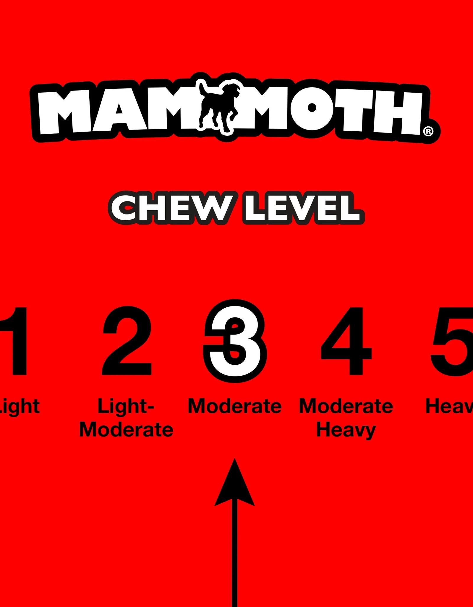 Flossy Chews 18" Extra Double-Tug Cotton-Blend Chew Dog Toy with Loop Handle, Asst Colors