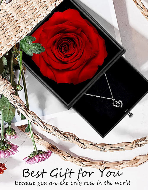 Load image into Gallery viewer, Preserved Red Real Rose with I Love You Necklace in 100 Languages -Eternal Flowers Rose Gifts for Mom Wife Girlfriend Her on Christmas Valentines Day Mothers Day Anniversary Birthday Gifts for Women

