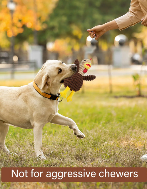 Load image into Gallery viewer, Dog Toys, 5 Pack, Squeaky Plush Dog Chew Toys Gift for Small Medium Large Dogs, Puppy
