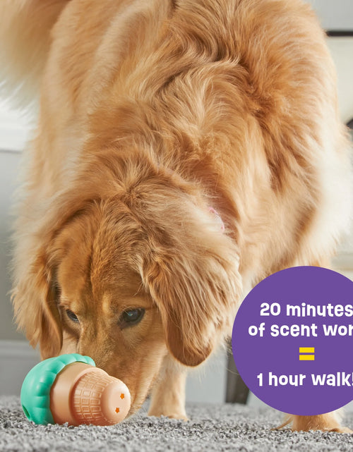 Load image into Gallery viewer, Ice Cream Dog Toy Treat Dispenser, Playful Food Puzzle for Interactive Puppy Training &amp; Birthdays
