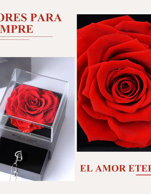 Load image into Gallery viewer, Preserved Red Real Rose with I Love You Necklace in 100 Languages -Eternal Flowers Rose Gifts for Mom Wife Girlfriend Her on Christmas Valentines Day Mothers Day Anniversary Birthday Gifts for Women

