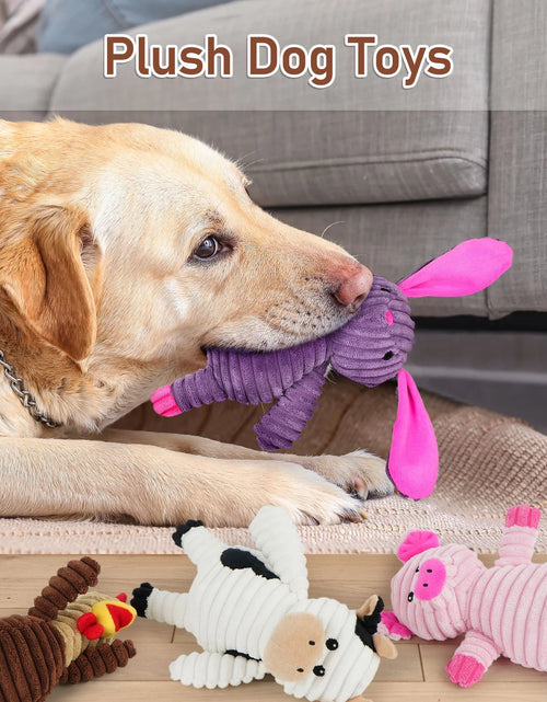 Load image into Gallery viewer, Dog Toys, 5 Pack, Squeaky Plush Dog Chew Toys Gift for Small Medium Large Dogs, Puppy
