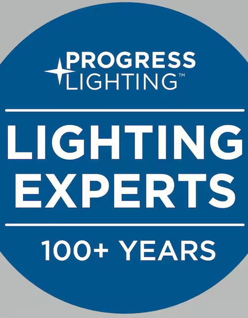 Load image into Gallery viewer, Vernal 60-In Painted Nickel with Painted Nickel Blades Integrated LED Covered Outdoor Smart Propeller Ceiling Fan with Light 5 -Blade
