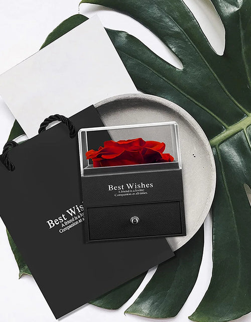 Load image into Gallery viewer, Preserved Red Real Rose with I Love You Necklace in 100 Languages -Eternal Flowers Rose Gifts for Mom Wife Girlfriend Her on Christmas Valentines Day Mothers Day Anniversary Birthday Gifts for Women
