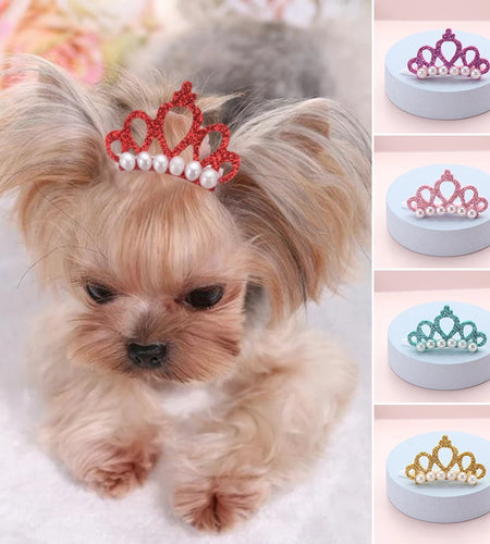 Pet Small Dogs Cat Faux Pearl Crown Shape Bows Hair Clips Head Decoration for Pets Puppy Hairpins Decor Grooming Accessoires