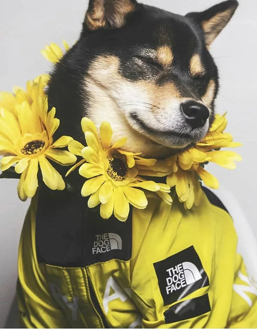 Load image into Gallery viewer, Dog Face Dog Clothes Raincoat for Small Big Dogs Wind Coat Windbreaker French Bulldog Hoodie for Dogs Clothes Jacket Chihuahua
