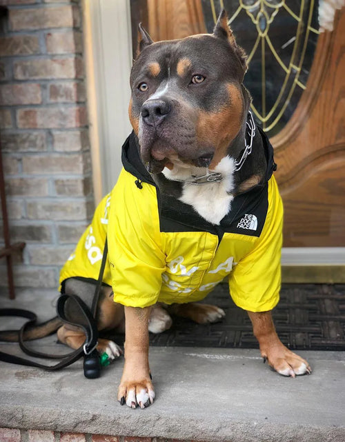 Load image into Gallery viewer, Dog Face Dog Clothes Raincoat for Small Big Dogs Wind Coat Windbreaker French Bulldog Hoodie for Dogs Clothes Jacket Chihuahua
