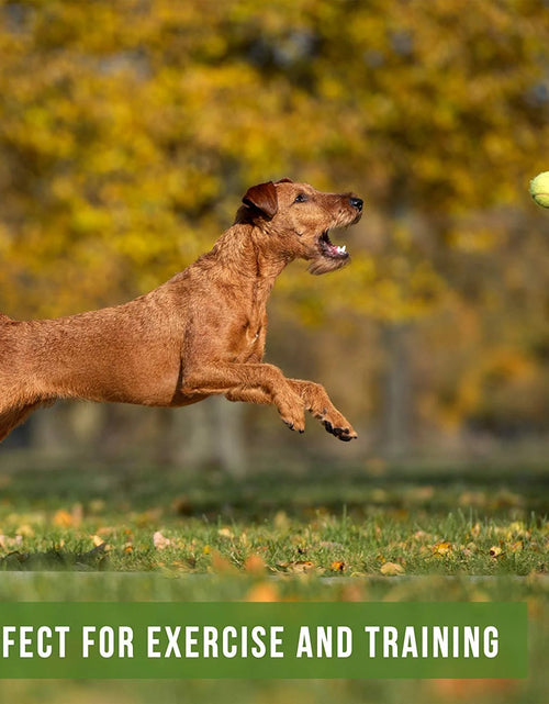 Load image into Gallery viewer, K9 Kannon K2 Interactive Dog Toy Ball Launcher
