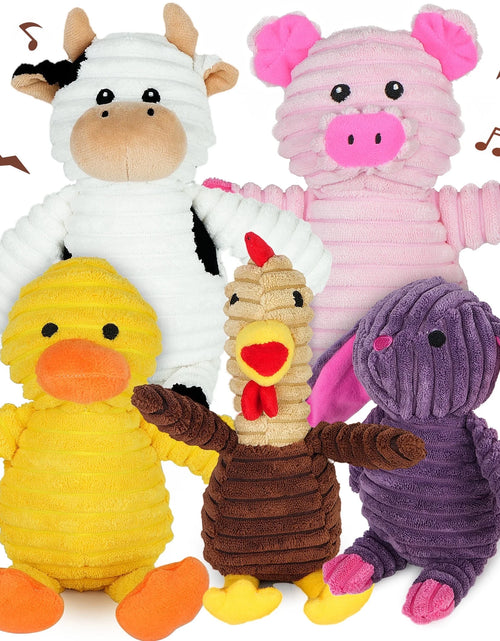 Load image into Gallery viewer, Dog Toys, 5 Pack, Squeaky Plush Dog Chew Toys Gift for Small Medium Large Dogs, Puppy
