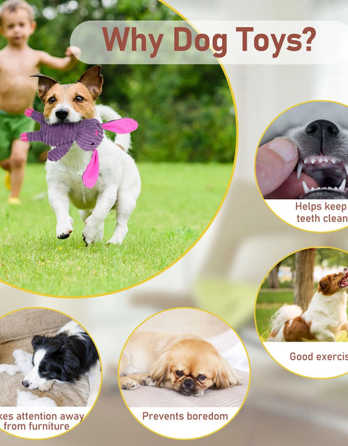 Load image into Gallery viewer, Dog Toys, 5 Pack, Squeaky Plush Dog Chew Toys Gift for Small Medium Large Dogs, Puppy
